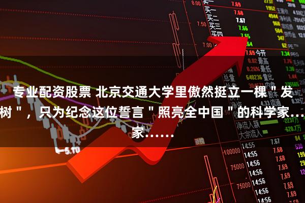 专业配资股票 北京交通大学里傲然挺立一棵＂发光树＂，只为纪念这位誓言＂照亮全中国＂的科学家……