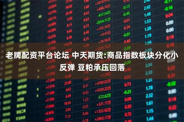 老牌配资平台论坛 中天期货:商品指数板块分化小反弹 豆粕承压回落