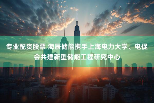 专业配资股票 海辰储能携手上海电力大学、电促会共建新型储能工程研究中心